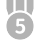 第 5 名
